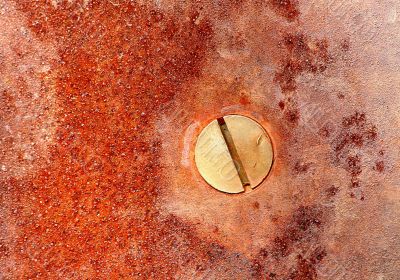 Rusty iron and screw
