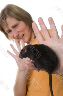terrible rat