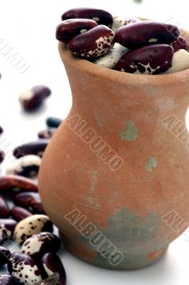 haricot at terracotta jug