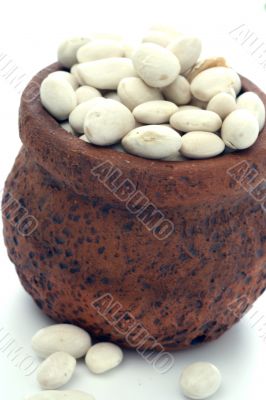 haricot at terracotta jug