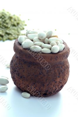 haricot at terracotta jug