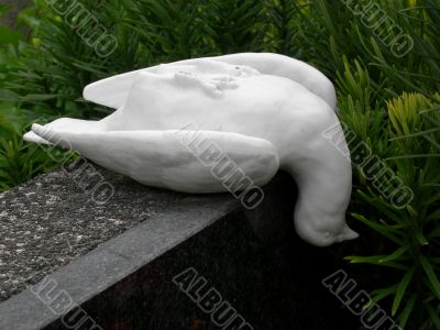 Small statue of a dove