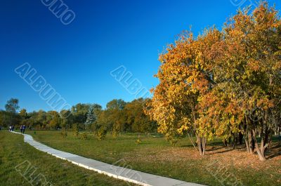 autumn in the park
