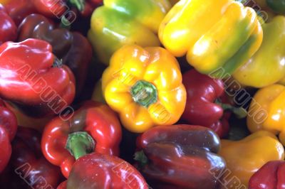 Assorted Bell Peppers