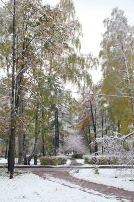 Winter came to town