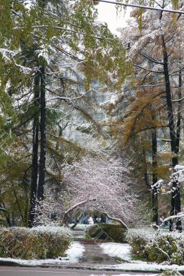 Winter came to town