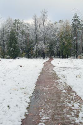 Winter came to town