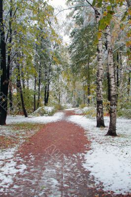 Winter came to town