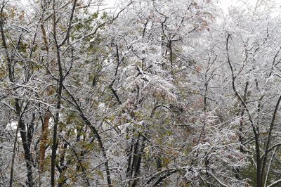 Winter came to town