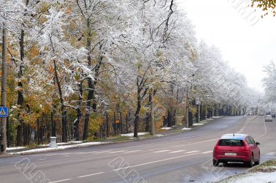 Winter came to town