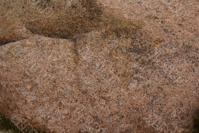 Lichen & moss on pink granite