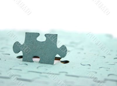 Jigsaw Focus on Upright piece Shallow DOF