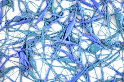 Blue Neuron