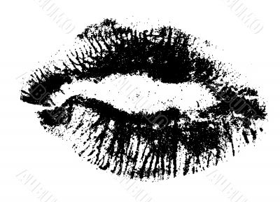 Black Lips 3