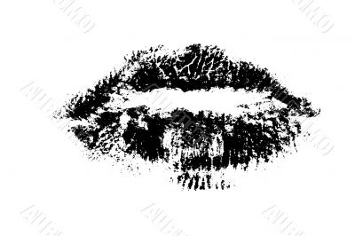 Black Lips 2