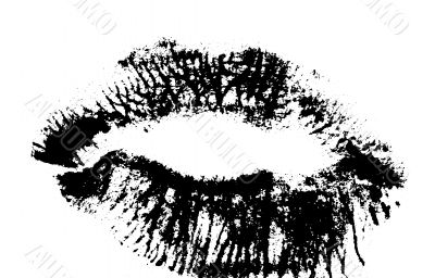 Black Lips