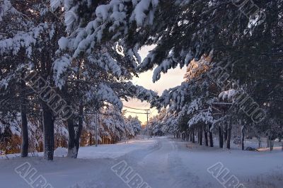winter
