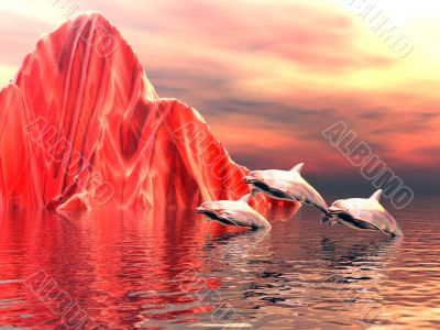 dolphins