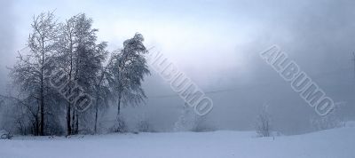 misty landscape