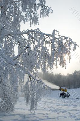 Tree and snowcannon