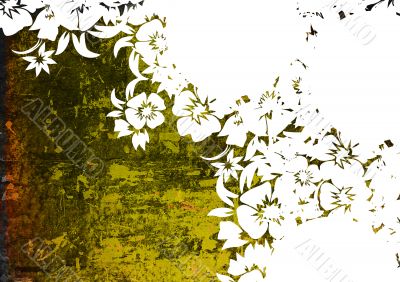 floral style backgrounds frame