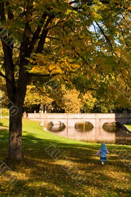 Fall Walk