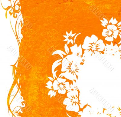 floral style backgrounds frame