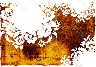 floral style backgrounds frame
