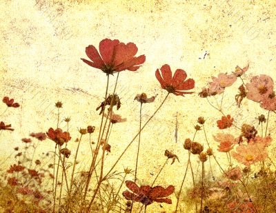 old-fashioned flower