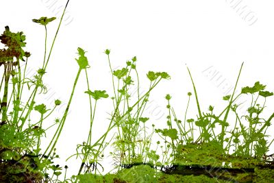 Great for textures and backgrounds