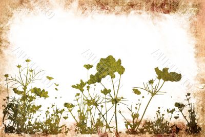 floral style textures