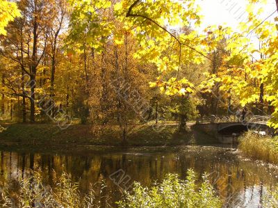 autumn