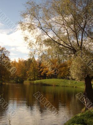 autumn