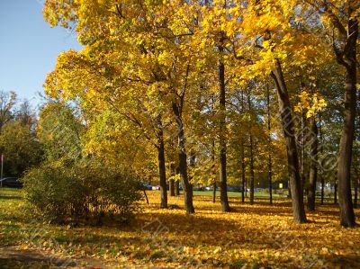 Autumn.