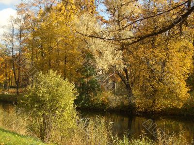 Autumn.