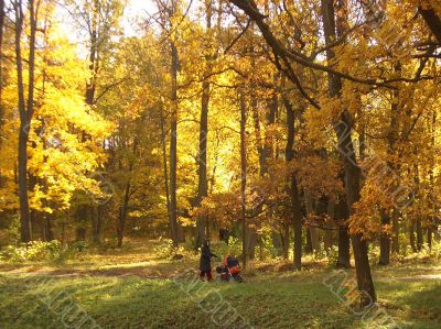 Autumn.
