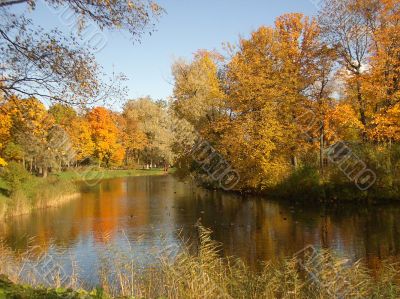 Autumn.