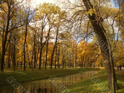 Autumn
