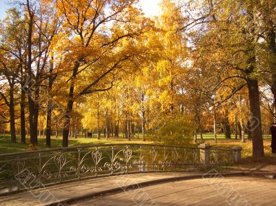Autumn
