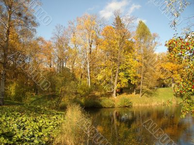 Autumn