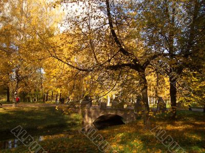 Autumn