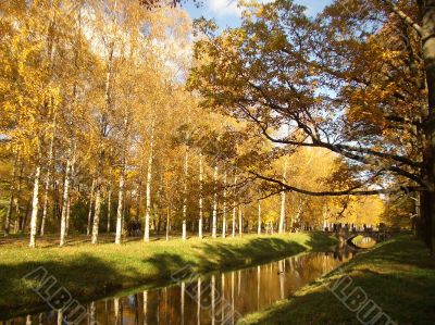 Autumn