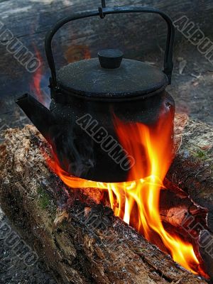 campfire tea