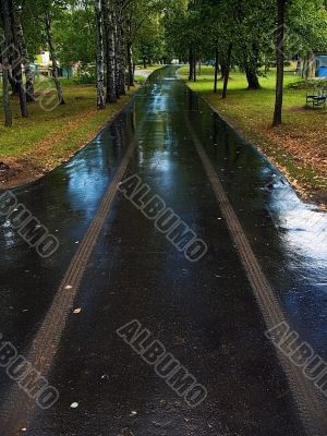 wet traces - park after rain