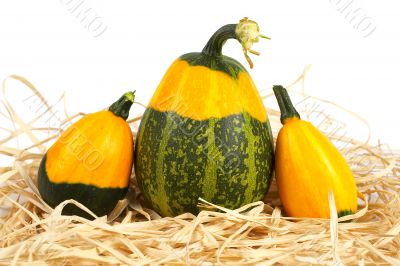 Yellow and green pumpkins