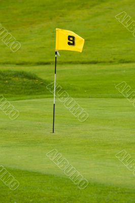 Golf green
