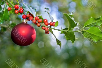 christmas ball and holly