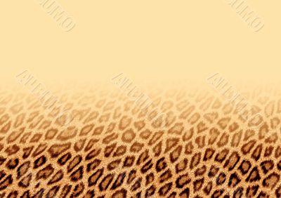 Leopard fur background