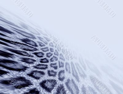 Leopard fur background