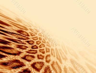 Leopard fur background